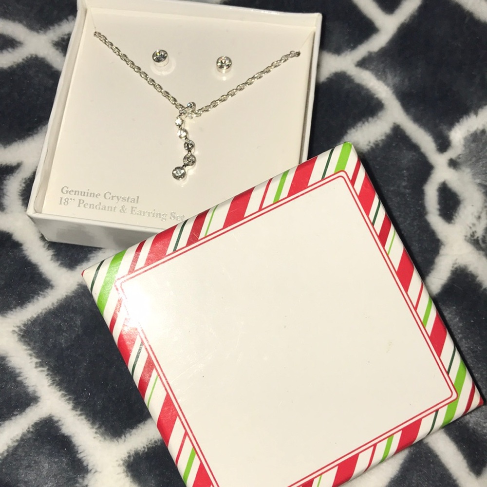 Silver Necklace & earring set